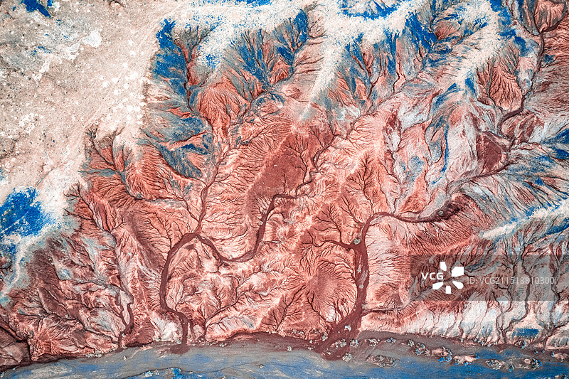 双生树图片素材