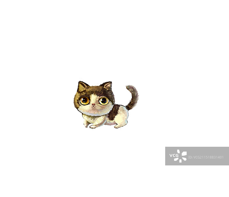 萌宠——猫咪图片素材