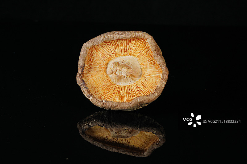 黑色底板干蘑菇产品展示与微距特写图片素材