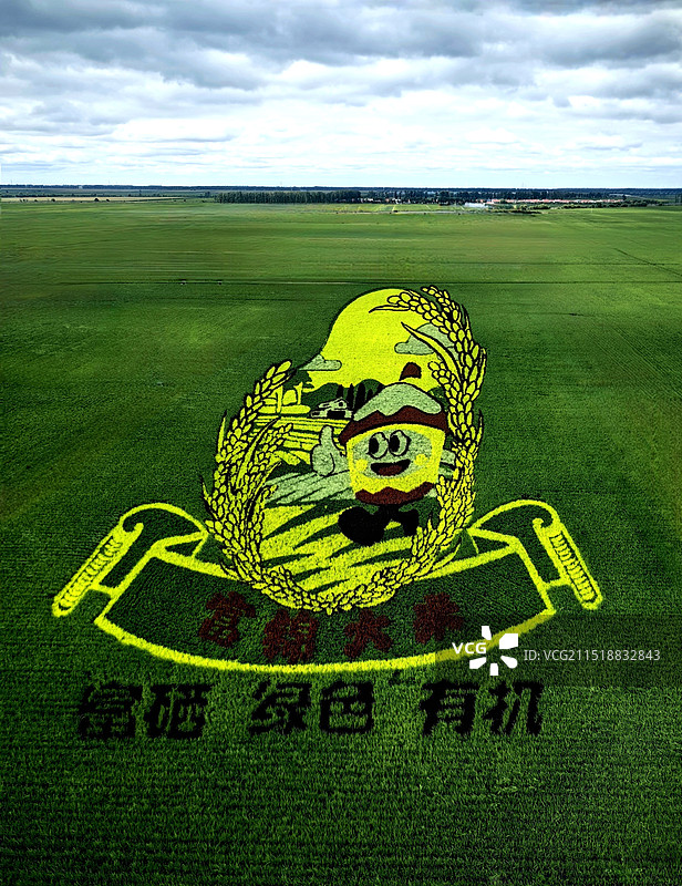 稻田画图片素材