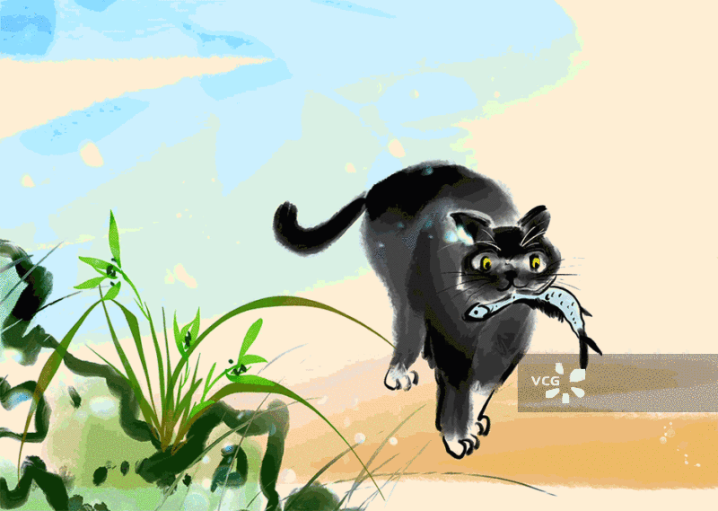 猫，吃，鱼，宠物，食品，小鱼干图片素材