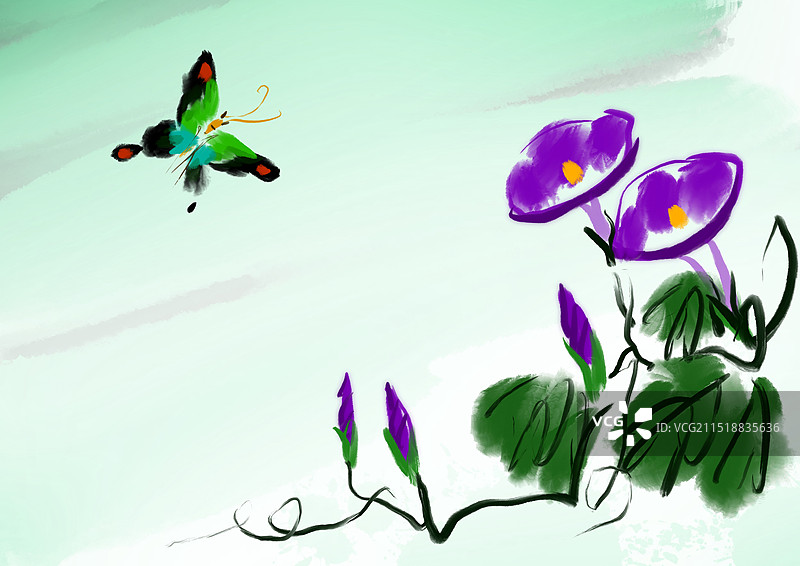 牵牛花，蝴蝶图片素材