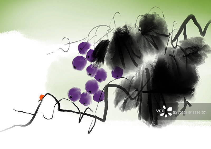 营养，美味，水果，葡萄，紫色，昆虫，七星瓢虫图片素材