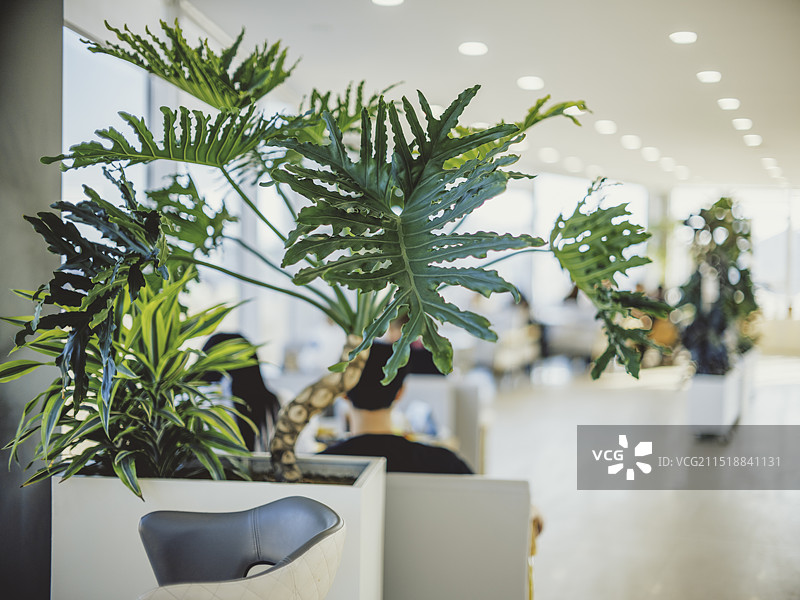 咖啡店室内图片素材