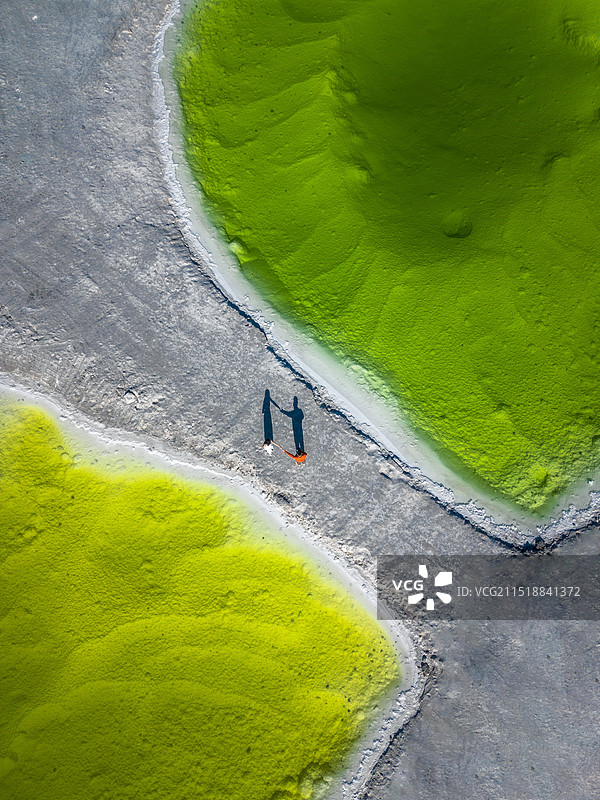 盐湖中的相遇图片素材