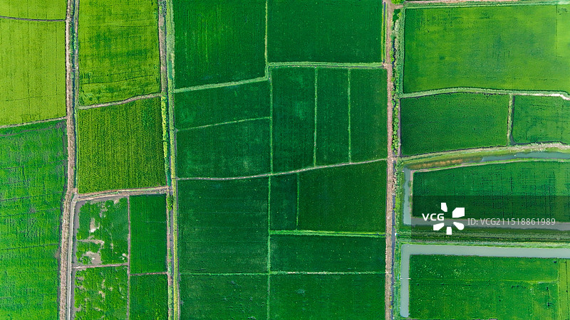 属于湖南省的大平原图片素材