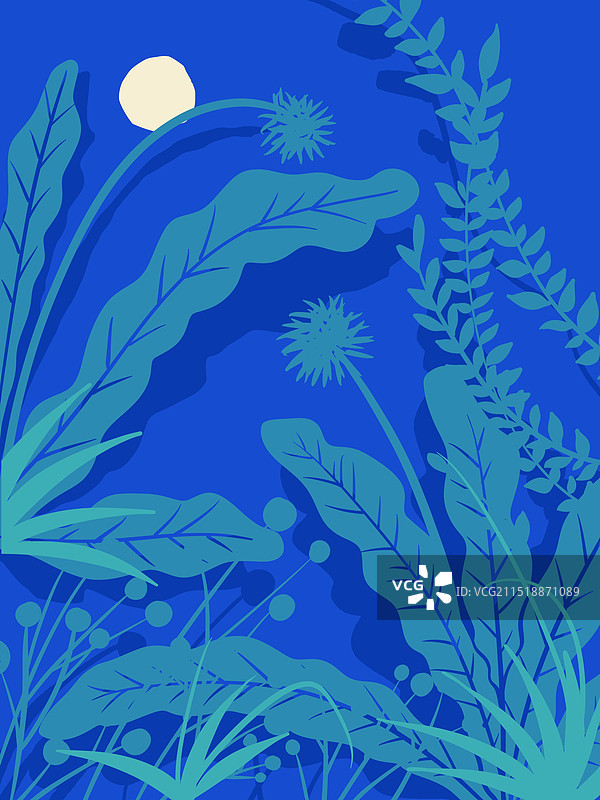 蓝色植物剪影夜色月光简约装饰画插画图片素材