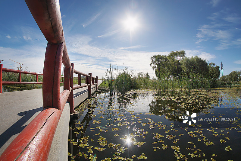 长春市北湖公园图片素材