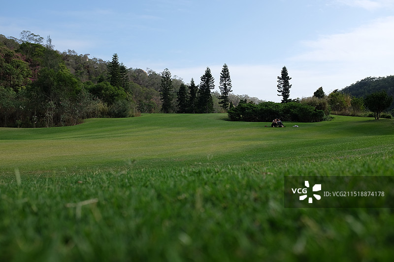 高尔夫草地图片素材