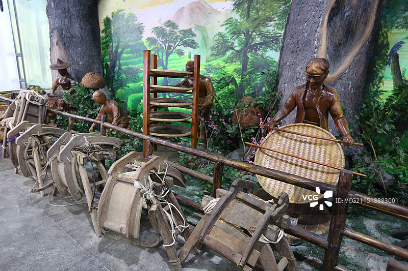 保山腾冲高黎贡山茶博园景区图片素材