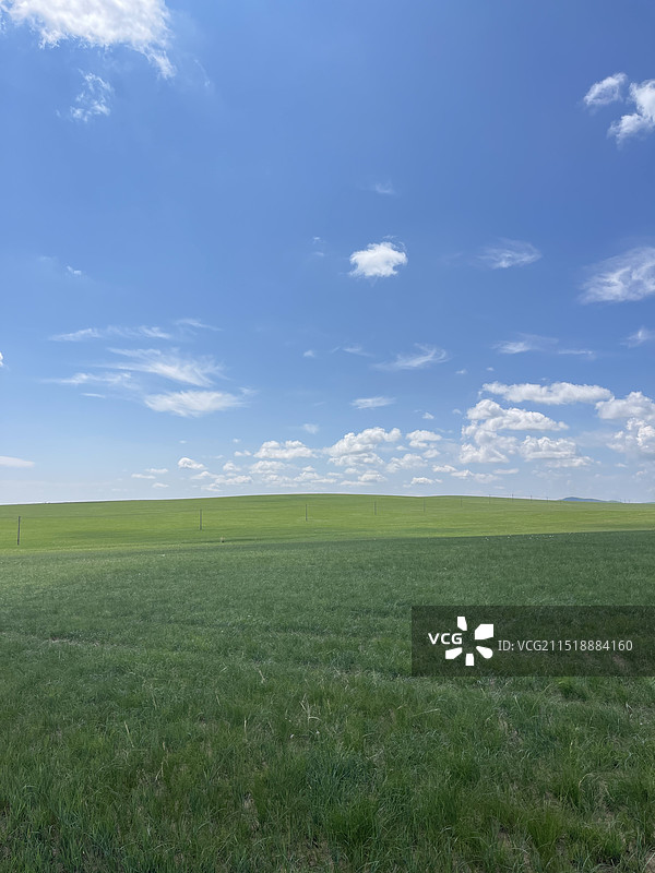 锡林郭勒大草原图片素材