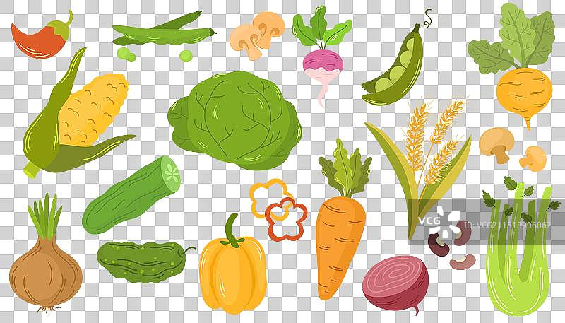 新鲜蔬菜图片素材