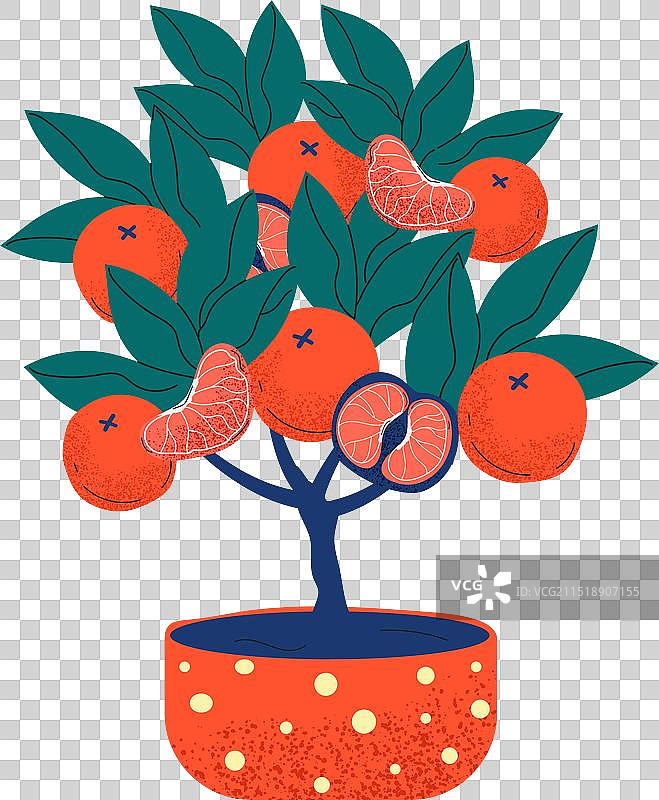 盆栽卡通橙子树与成熟果实图片素材