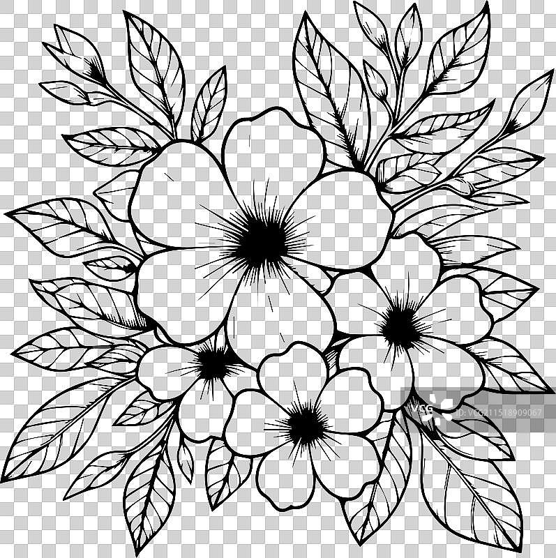 黄蝉花绘画涂色页图片素材