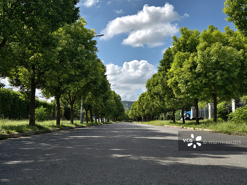 晴空下的道路图片素材