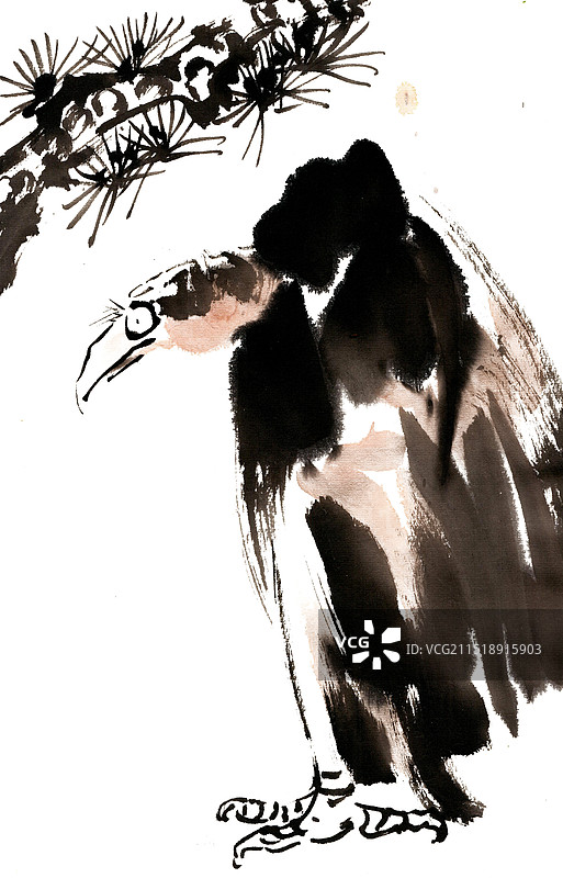 松下的秃鹫图片素材