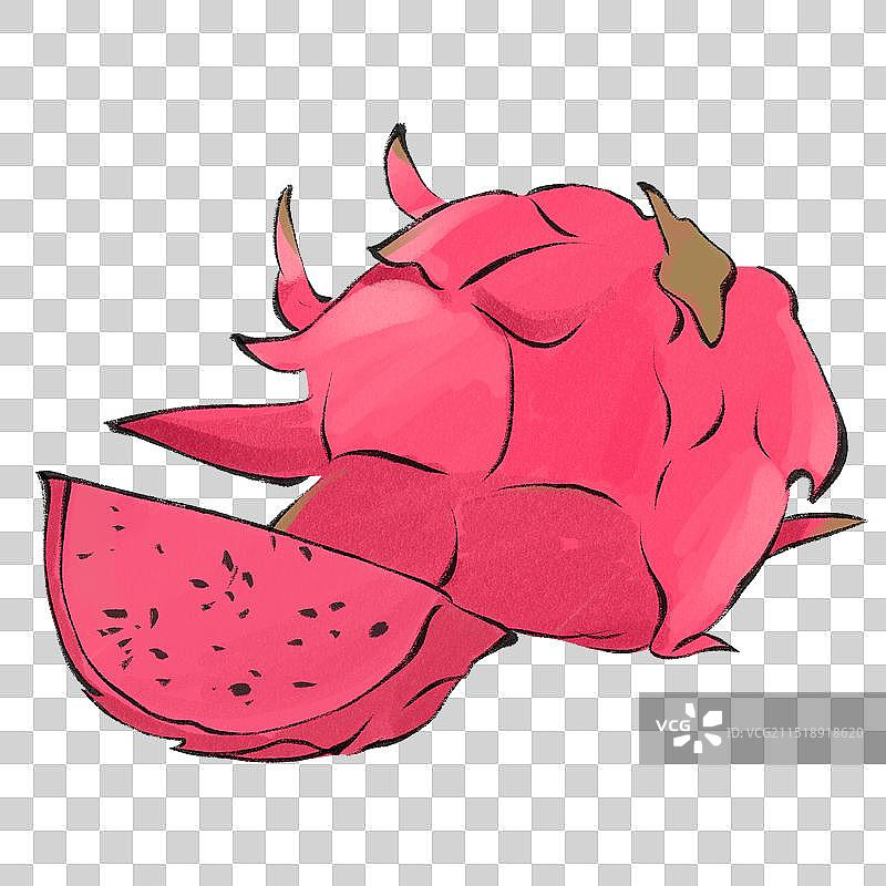 红心火龙果-海南美食土特产小吃插画元素图片素材