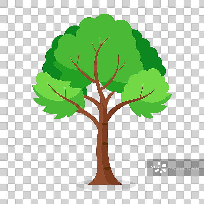 自然背景上的黑色桦树图片素材