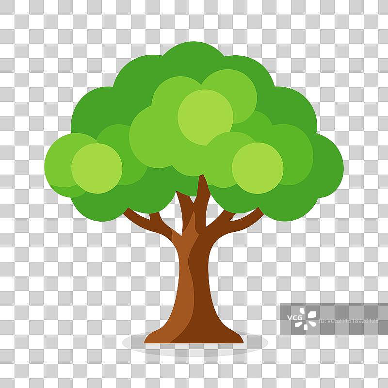 北美灰胡桃树自然扁平风格图片素材