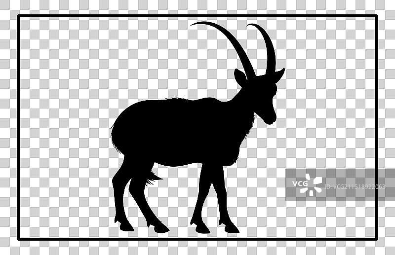高山野山羊轮廓图片素材