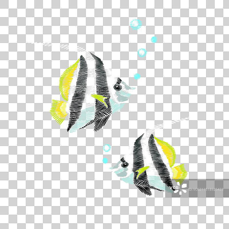 刺绣热带鱼贴片条纹天使图片素材