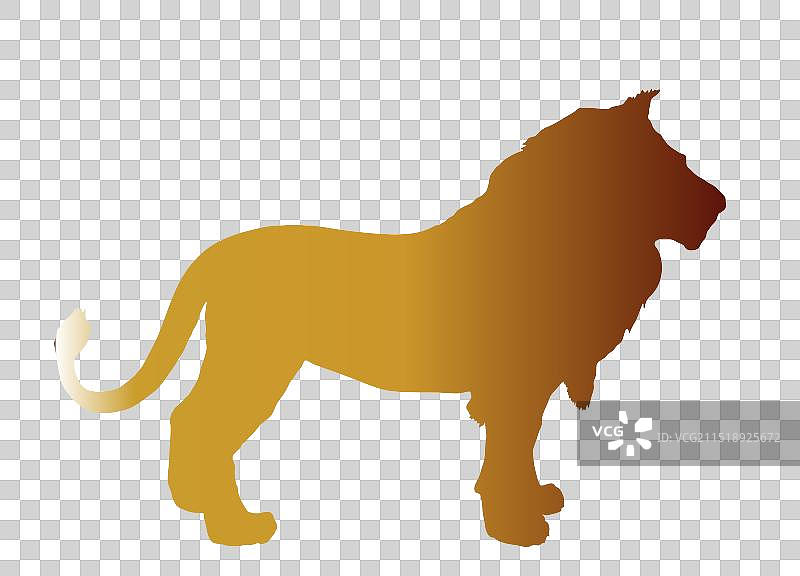 金色狮子轮廓图片素材