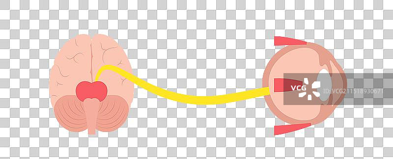 动眼神经海报图片素材
