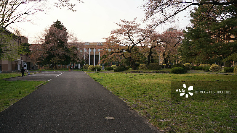 日本宫城县仙台市，日本国立大学之一的日本东北大学图片素材