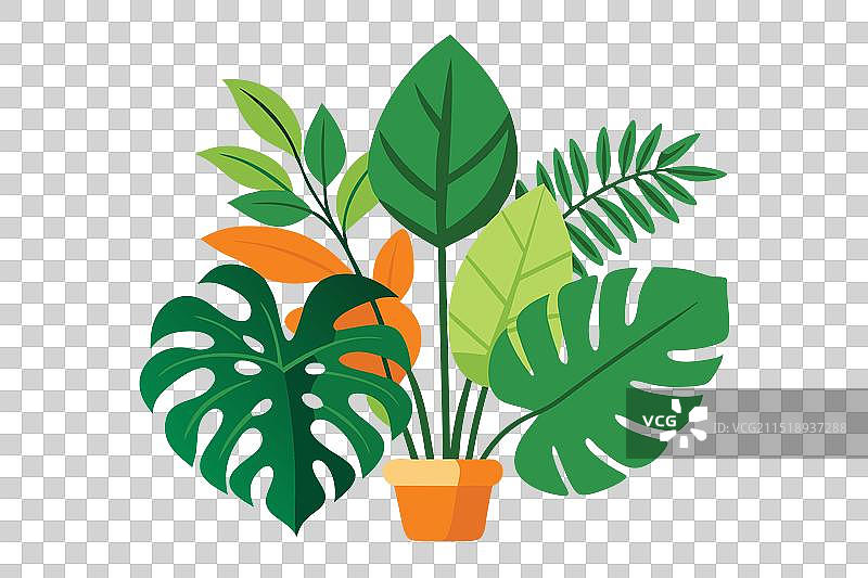 蓬莱蕉叶扁平图案图片素材