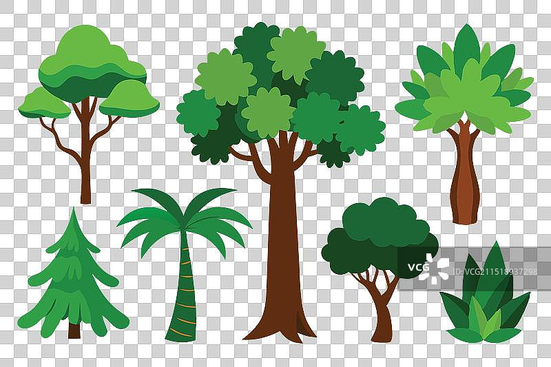 雨林树木扁平素材图片素材