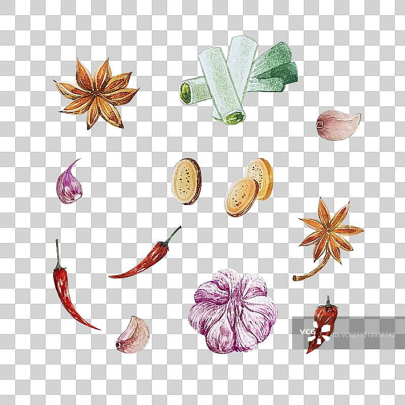 葱姜蒜五香调料食材水彩手绘插画图片素材