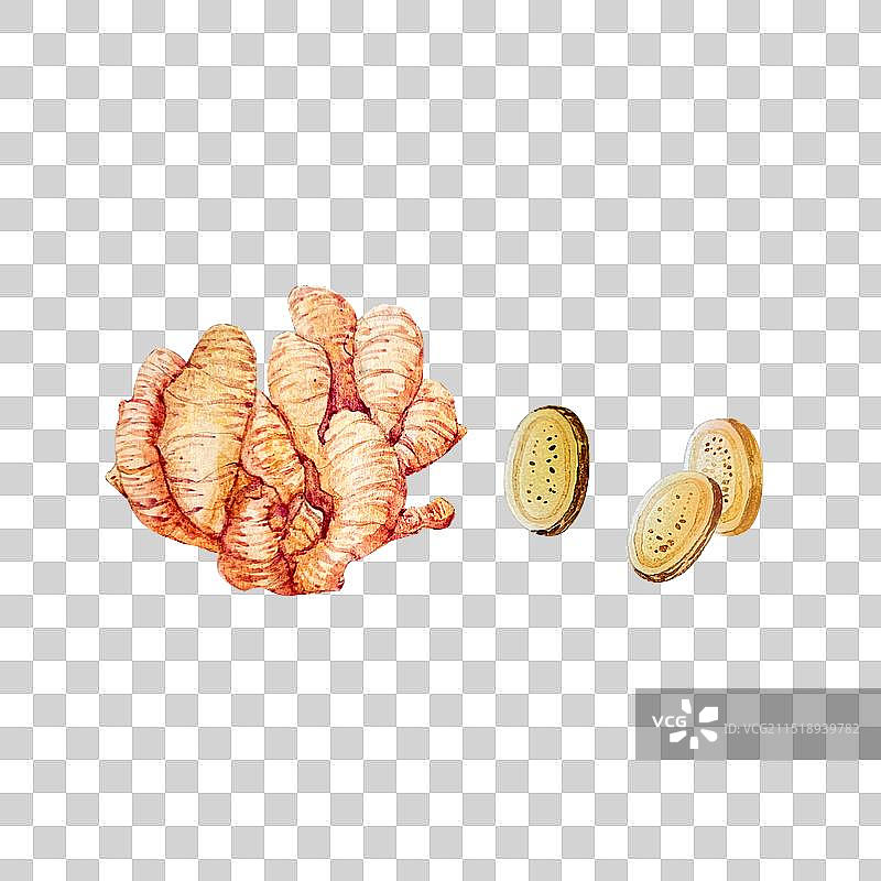 葱姜蒜五香调料食材水彩手绘插画图片素材