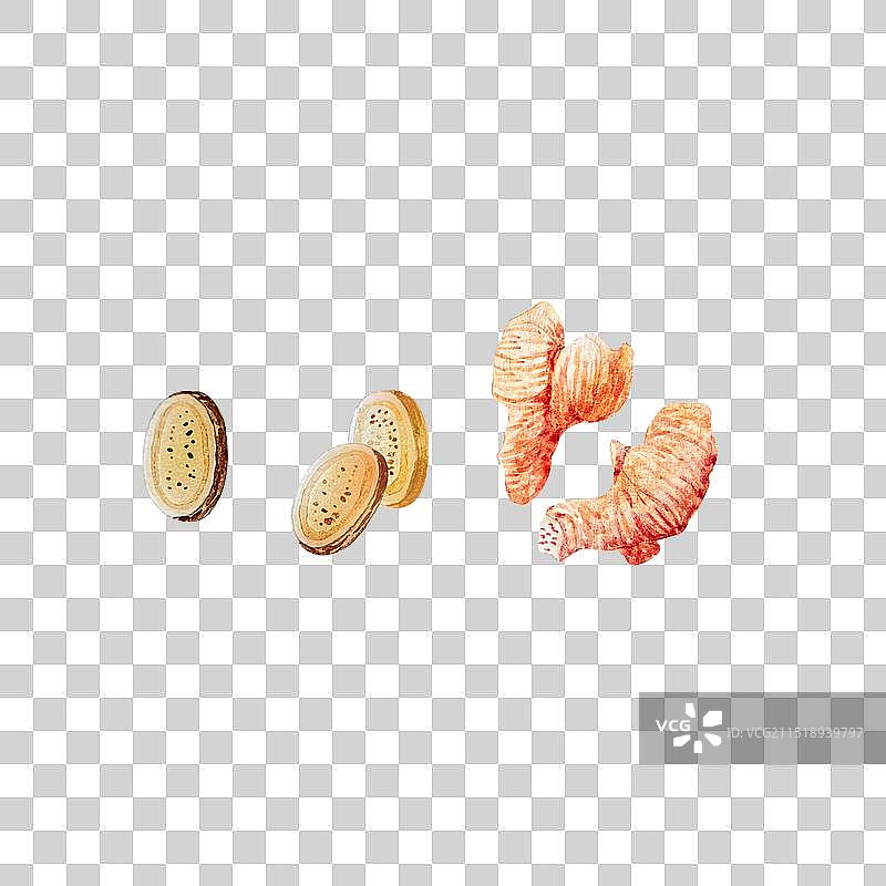 葱姜蒜五香调料食材水彩手绘插画图片素材