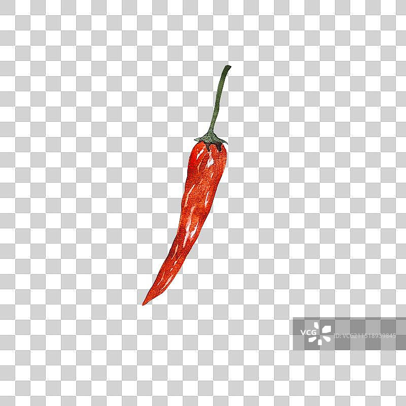 葱姜蒜五香调料食材水彩手绘插画图片素材