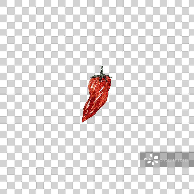 葱姜蒜五香调料食材水彩手绘插画图片素材