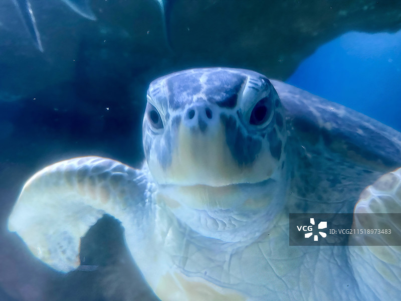 大连圣亚海洋世界图片素材