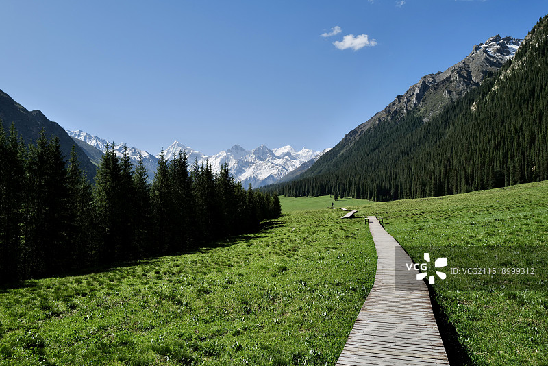 新疆伊犁夏塔古道国家森林公园内的森林、草原、栈道与雪山图片素材