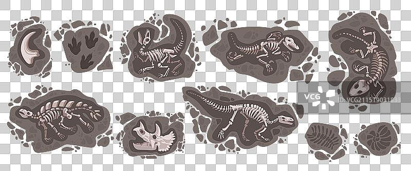 恐龙化石足迹考古石头图片素材