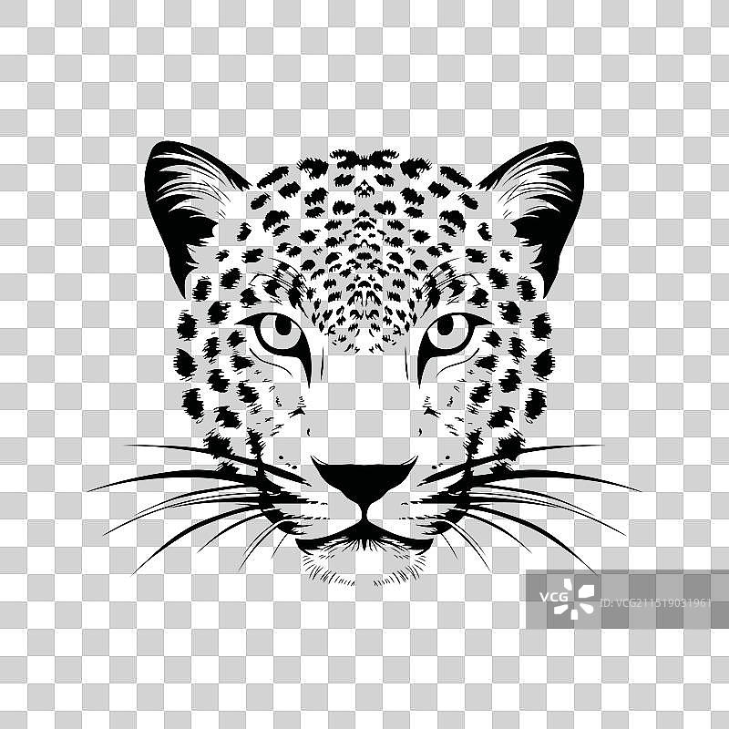 眼神犀利的豹子面部绘画图片素材