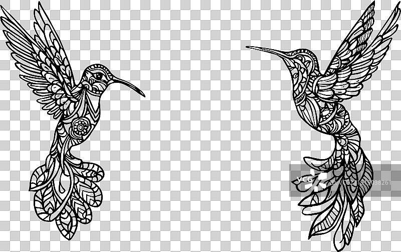 手绘Zentangle蜂鸟图案图片素材