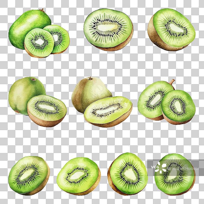 水彩风格奇异果图片素材