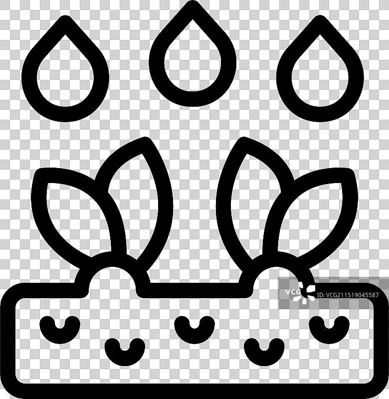 土壤中生长的两株植物接受水滴浇灌图片素材