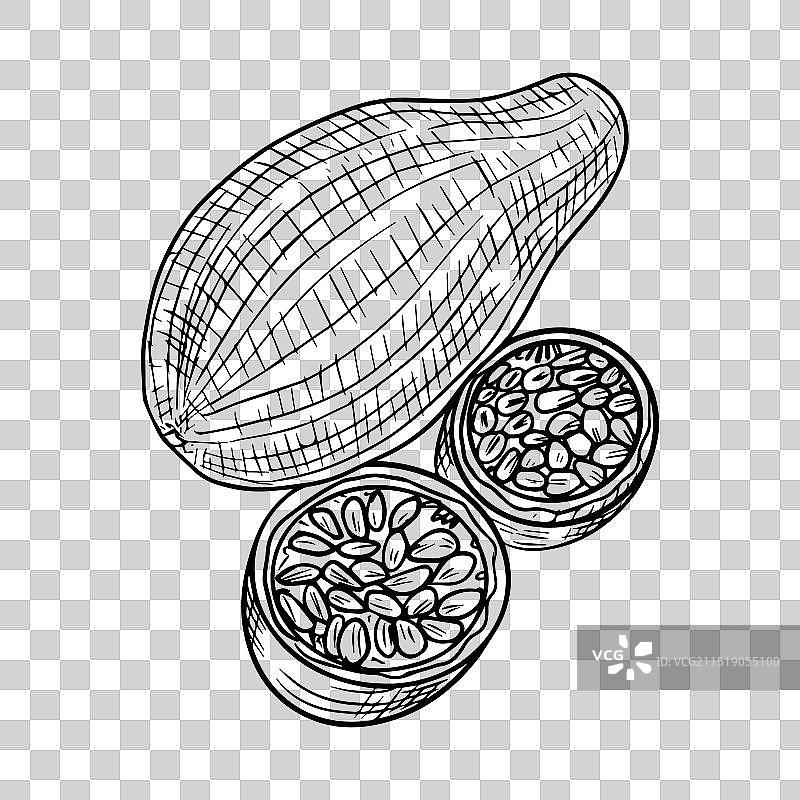 木瓜 160624图片素材