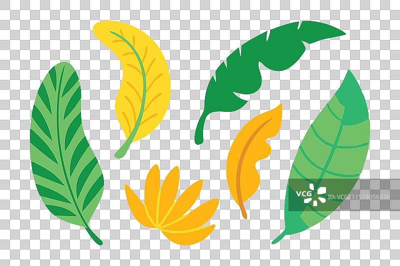香蕉叶剪贴画热带花卉涂鸦图片素材