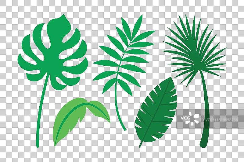 异域风情棕榈叶扁平素材图片素材