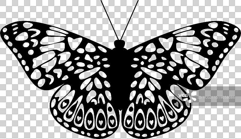 黑白蝴蝶剪影图片素材