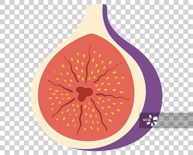 卡通手绘风格的无花果图片素材