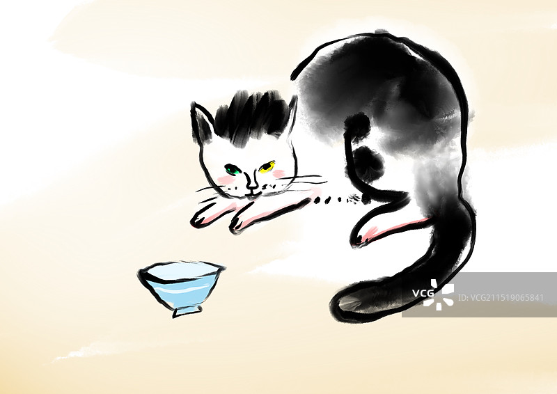 猫，宠物，猫粮，食品，图片素材