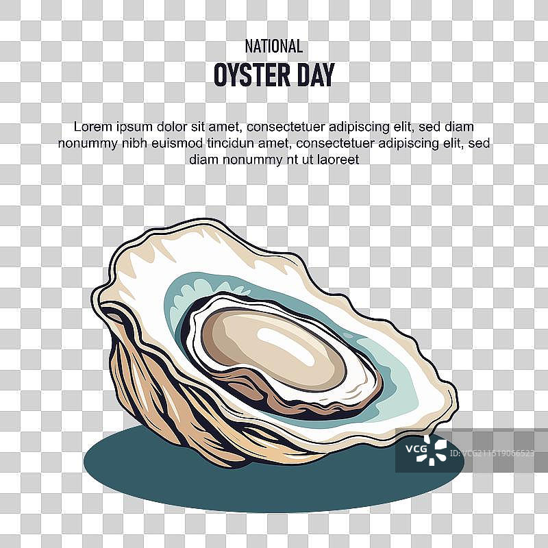 全国生蚝日背景图片素材