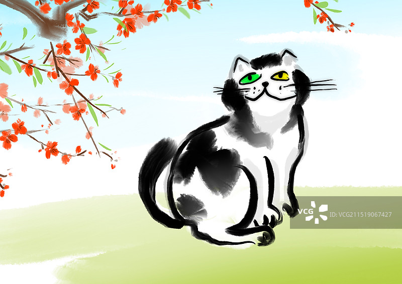 春天，桃花，火红，猫图片素材